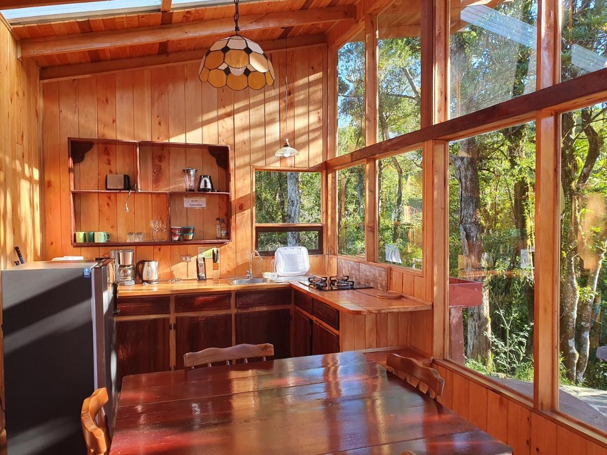 Finca Terra Viva Monteverde Kültér fotó