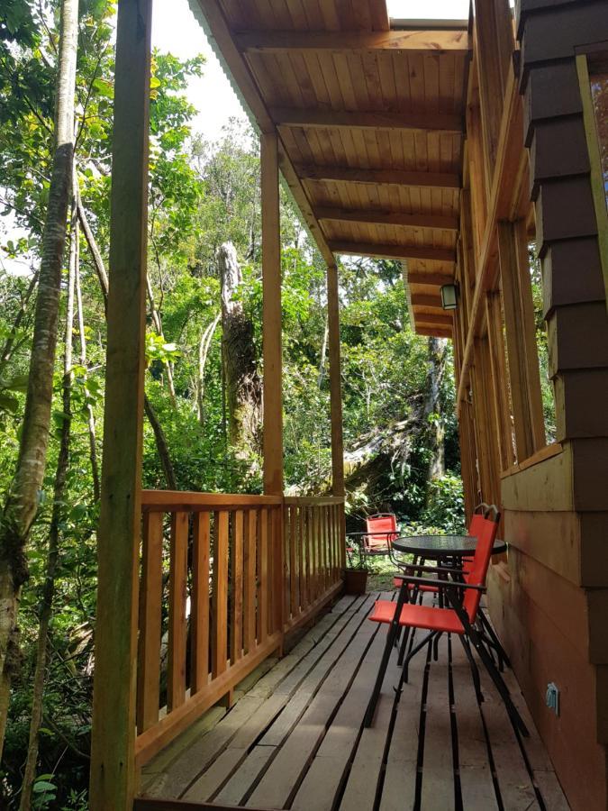 Finca Terra Viva Monteverde Kültér fotó