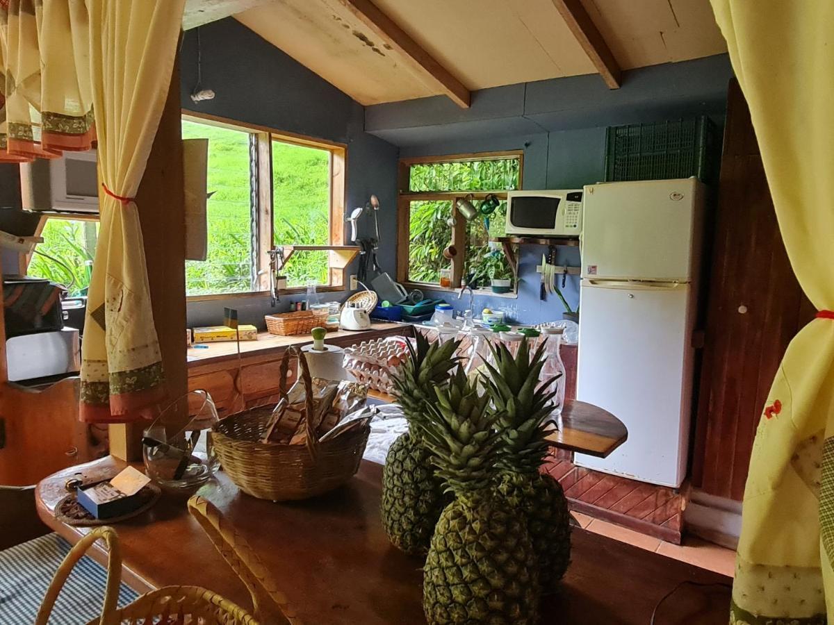 Finca Terra Viva Monteverde Kültér fotó