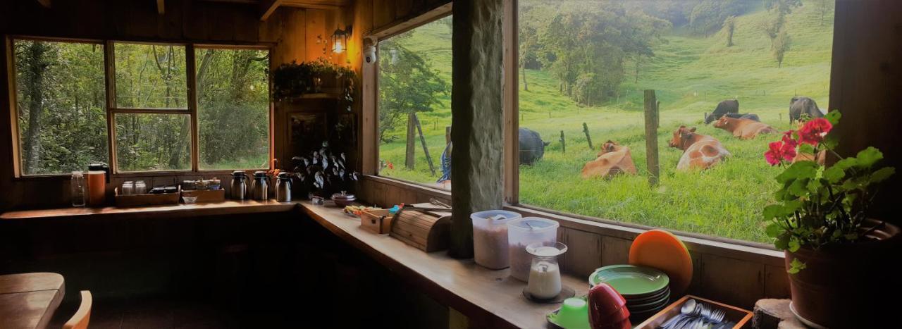Finca Terra Viva Monteverde Kültér fotó
