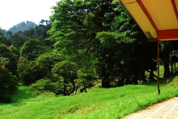 Finca Terra Viva Monteverde Kültér fotó